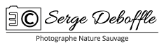 Logo Serge Deboffle